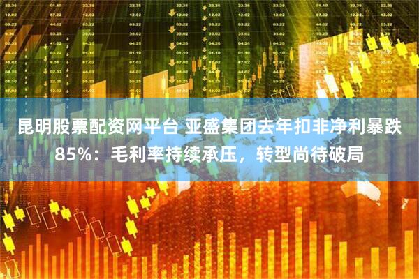昆明股票配资网平台 亚盛集团去年扣非净利暴跌85%：毛利率持续承压，转型尚待破局